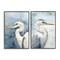 Stupell Industries Watercolor Detailed Beach Birds 2 pc Framed Giclee Wall Art Set Design by Petal Prints Design